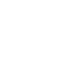 rocketship icon